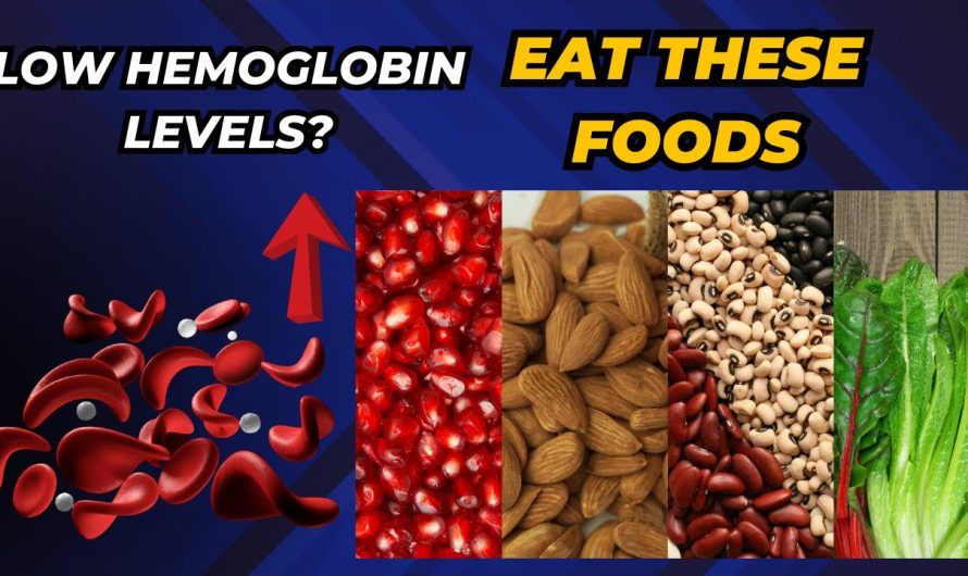 What are the Symptoms of Anemia? What are the Foods Good for Anemia?