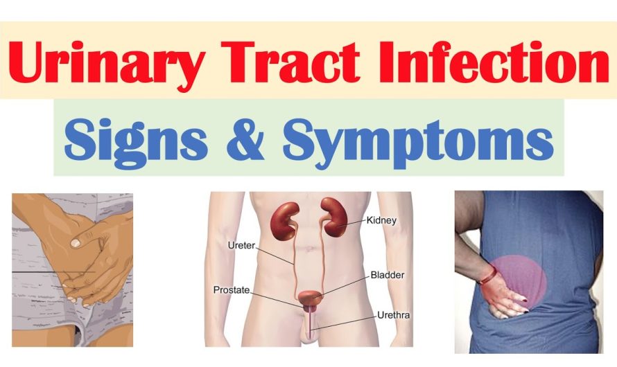 What are the Symptoms of Urinary Tract Infection?