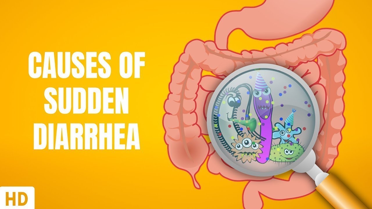 What Causes Sudden Diarrhea? What is Good for Diarrhea